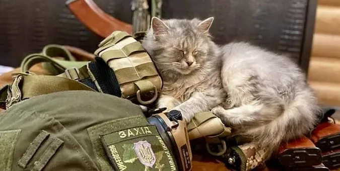 Показали чотирилапих «бійців», які живуть з волинськими поліцейськими на фронті (фото)