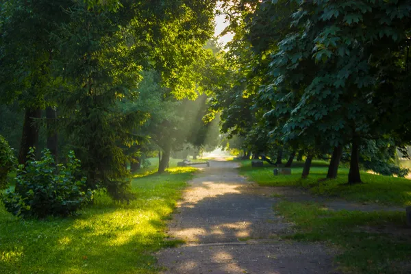 Безмежно-бездонне умиротворення: ранковий Луцьк наприкінці літа (фото)