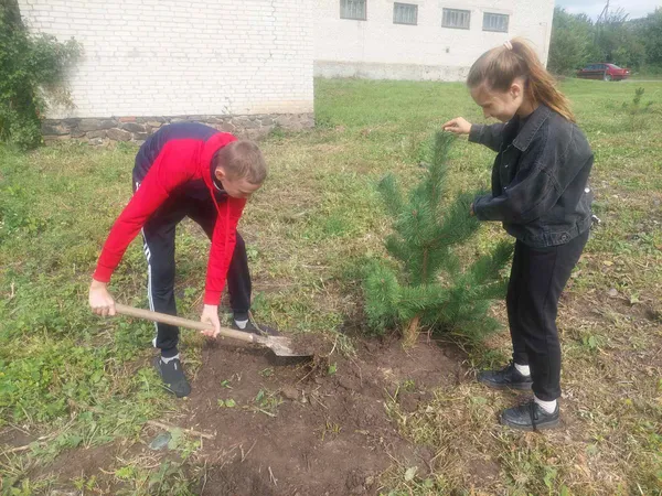 У Хорлупах на місці закинутого складу заклали новий сквер (фото)