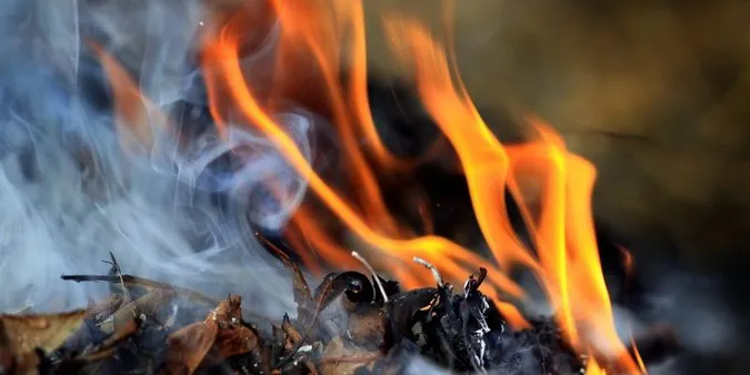 На Волині виявили паліїв сухої трави