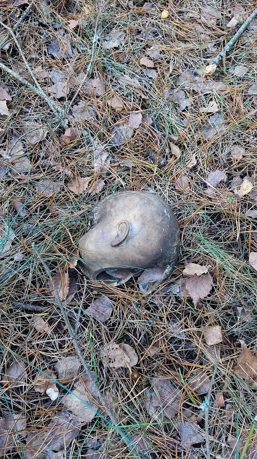 У лісі на Волині знайшли дитячу голову (фото)