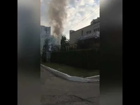 У Луцьку біля стоматклініки горіли туї (відео)