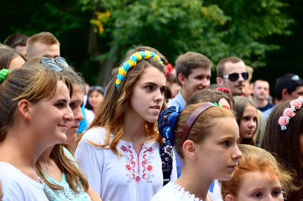 Співи, жим та стріт-фуд: як лучани святкують День Незалежності (фото)