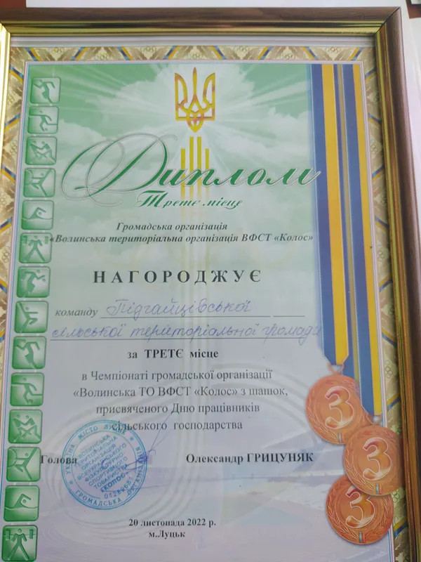 Підгайцівська громада виборола дві нагороди на обласному фестивалі спорту