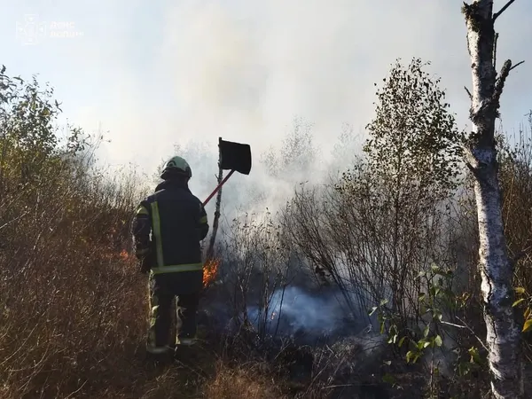 Понад гектар вигорів за день: на Волині горіли суха трава, чагарники та сміття (фото)