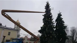 Центральні луцькі ялинки вже майже готові до Нового року (фото)