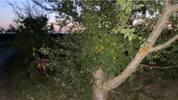 Дві восьмикласниці у Ковелі в'їхали в дерево на квадроциклі (фото)