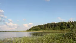 Не Світязь: назвали ще одну озерну перлину Волині (фото)