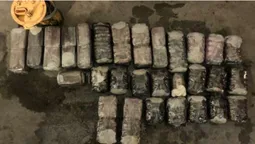 На Волині засудили молдаванина, який віз 19 кіло гашишу в росію (фото)