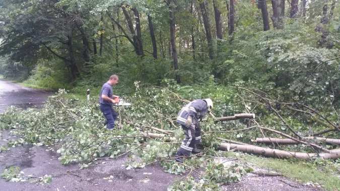 Підтоплені будинки і повалені дерева: на Волині вирувала негода (фото)