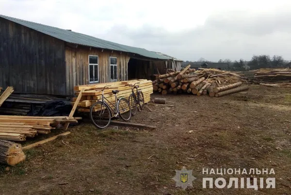 На приватній пилорамі на Шаччині знайшли соснові колоди без документів (фото, відео)