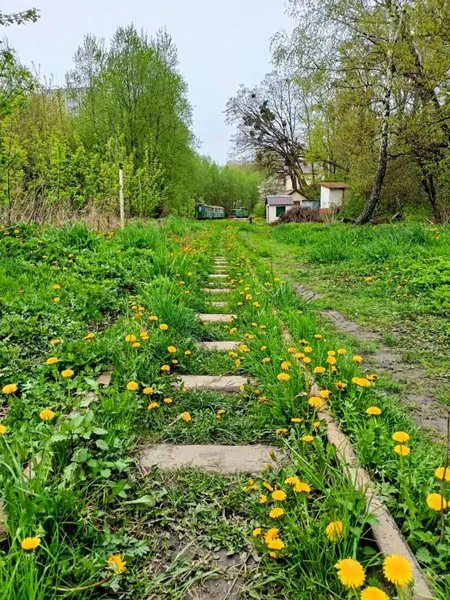 Руїни дитячої залізниці у Луцьку (фото)