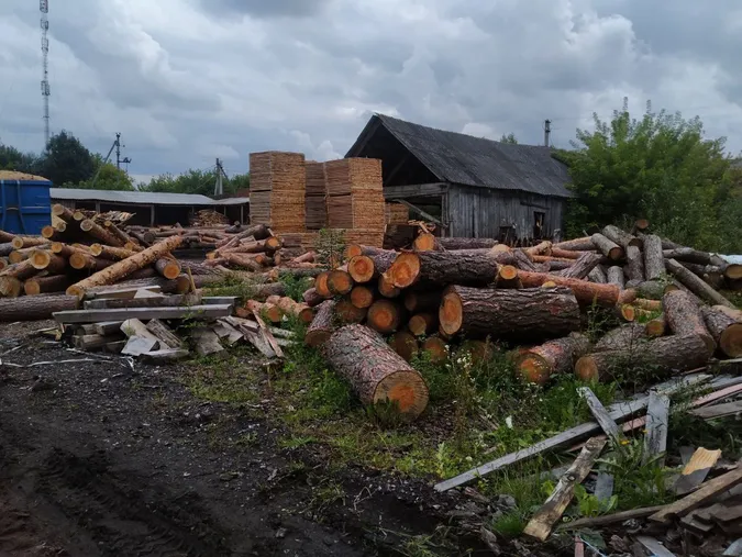 На Волині суд арештував сім сотень соснових колод (фото)