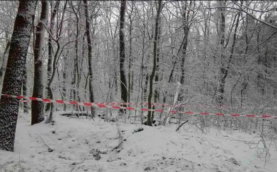 Біля Києва знайшли вбитим голову правління санаторію, що неподалік Луцька