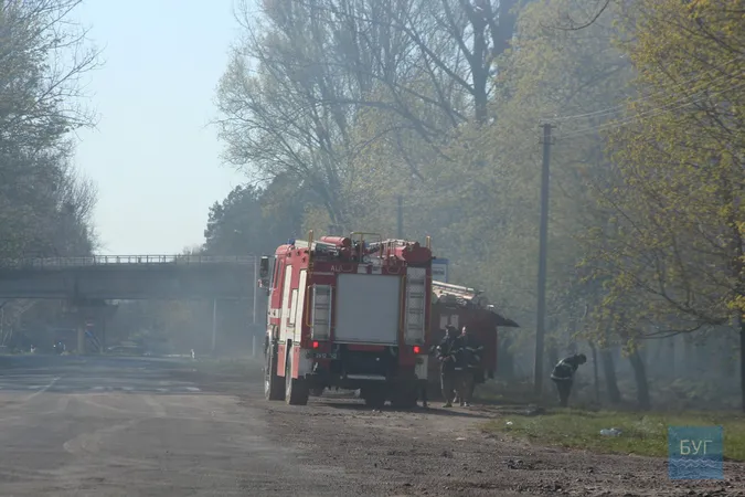 Біля Володимира загорівся ліс: ймовірно, через підпали сухої трави (відео)