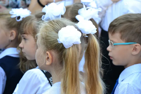 Якими були зачіски першокласниць луцької школи №9 (фото)
