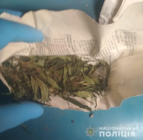 У Ківерцівському районі чоловік сушив у гаражі пів кілограма конопель (фото)