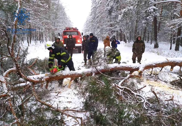 Волинські рятувальники за минулий рік ліквідували понад 1300 пожеж (фото)
