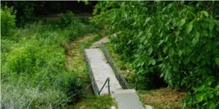 Луцьк і Рованці хочуть з’єднати пішохідним мостом через Стир: що це дасть місту