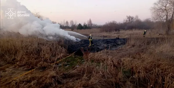 Волинь палає: тільки за день трапилося 6 пожеж сухостою (фото)
