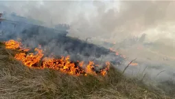 У Луцьку горів майже гектар сухої трави (фото)