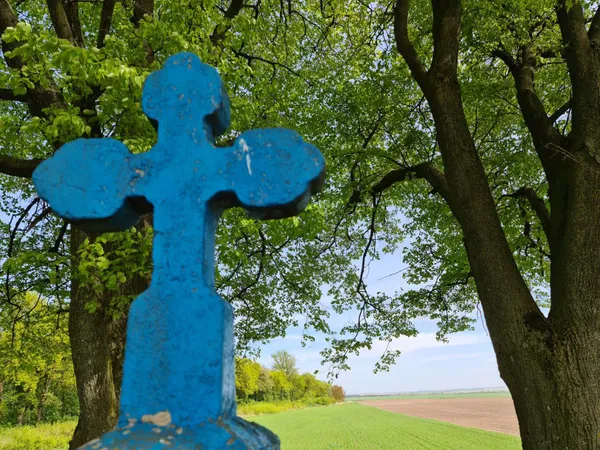 У Підгайцівській громаді впорядкували історичну локацію (фото)