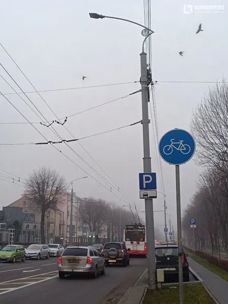Нічого не видно: Луцьк накрило густим туманом (фото)
