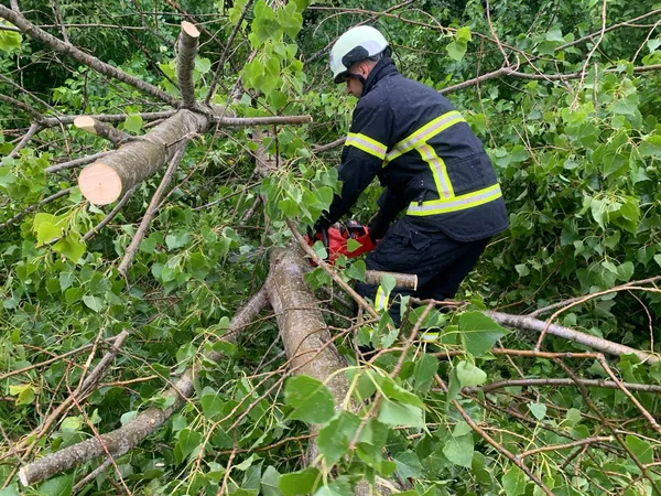 Негода вирує: під Луцьком сильний вітер повалив дерево на дорогу (фото)