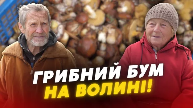 Зібрали повні кошики – і на базар: як проходить грибний сезон на Волині (відео)