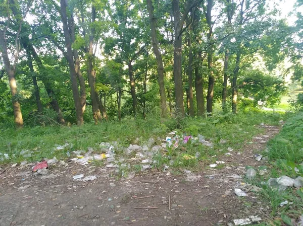 У Луцьку ботанічну пам'ятку природи перетворили на смітник (фото)