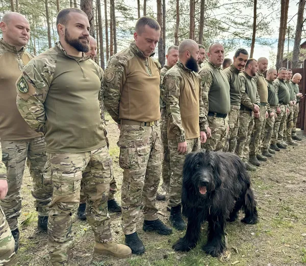 Показали чотирилапих «бійців», які живуть з волинськими поліцейськими на фронті (фото)
