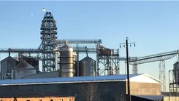 Забруднює повітря: на Волині селяни бідкаються на кукурудзяне лушпиння (фото, відео)