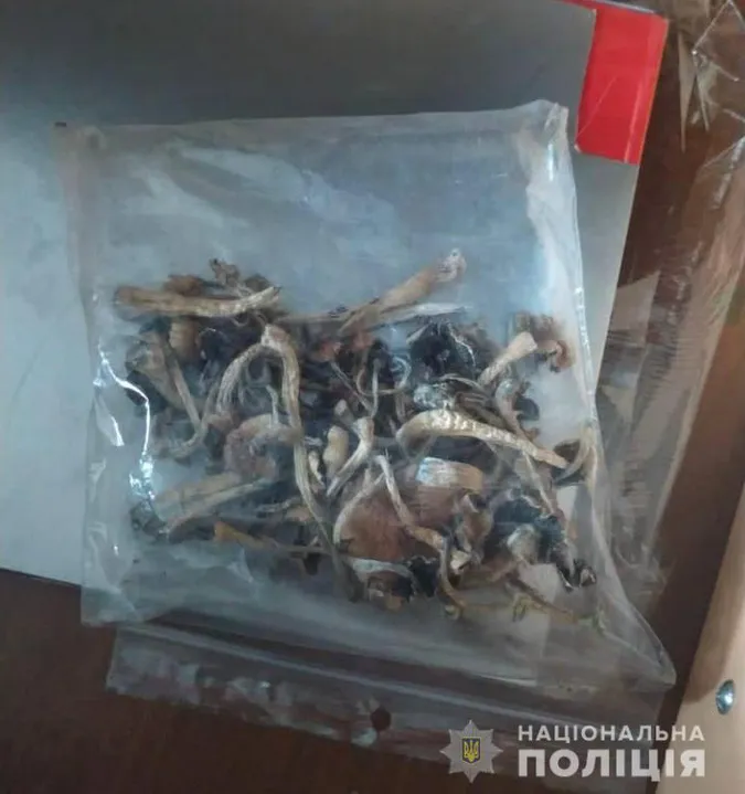 Гриби, коноплі, амфетамін: у 23-річного лучанина знайшли наркотики (фото, відео)