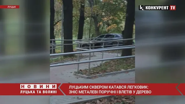 У луцькому парку «Дубки» легковик врізався в дерево (фото, відео)