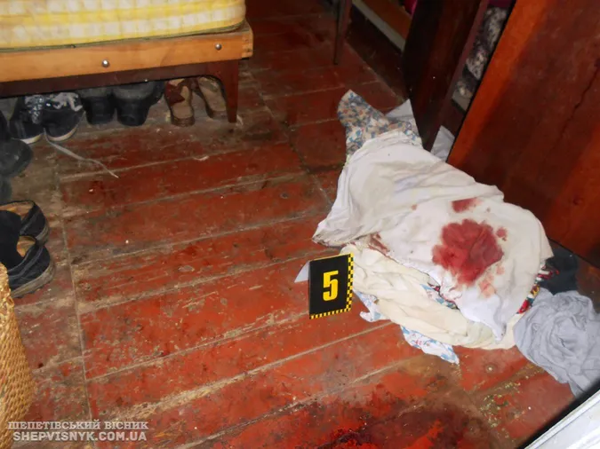 Волинянина судитимуть за вбивство батька