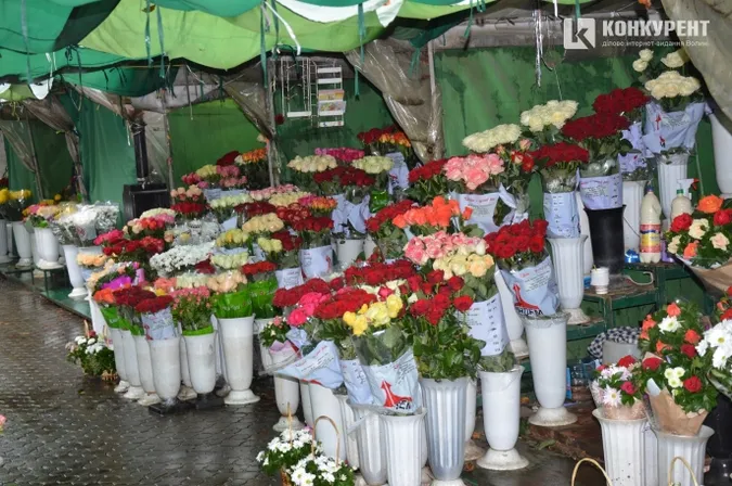 Де у Луцьку купити квіти до 8 березня найдешевше (фото)