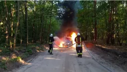 На Камінь-Каширщині посеред лісу горів автомобіль (фото)