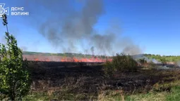 У Нововолинську палії ледве не знищили дачний масив (фото)