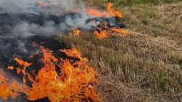На Волині чоловік загинув, підпалюючи суху траву на полі (відео)