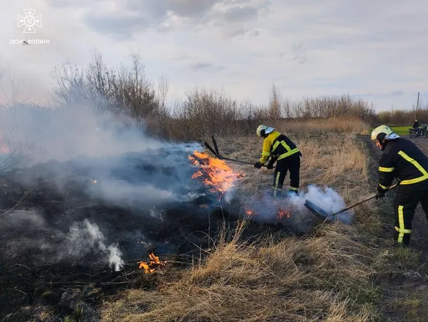 Горіли поля, очерет і торф: Волинь накрила хвиля масштабних пожеж (фото)