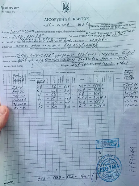 На Волині підприємці вирубували «не ті» дерева (фото, відео)