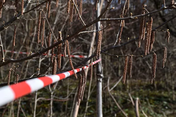 У лісі на Волині знайшли схрон боєприпасів німецької армії часів Другої світової війни (фото)