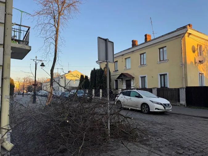У Старому місті Луцька впало дерево і перегородило прохід (фото)