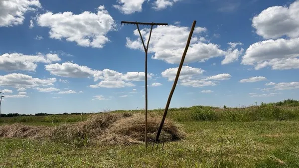Сінокос