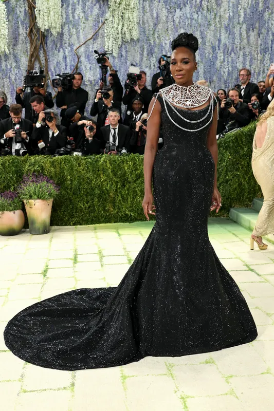Найкращі образи гостей балу Met Gala 2026 (фото)
