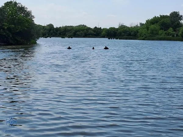 У Луцьку водолази витягли з річки людину (фото)