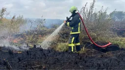 На Ковельщині палає торфовище: на місці працюють шість загонів рятувальників (фото)