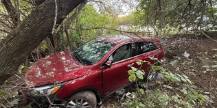 Біля Горохова 14-річна водійка з'їхала у кювет – троє людей у лікарні (фото)