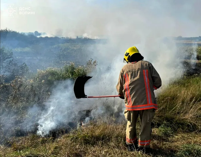 На Волині рятувальники впіймали трьох паліїв: їм виписали великі штрафи (фото)