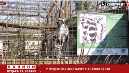 Весна у Луцькому зоопарку: як тварини зустріли потепління та відвідувачів (відео)